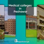 Medical Colleges in Peshawar.