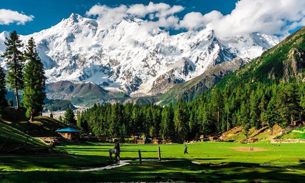 Fairy Meadows Pakistan