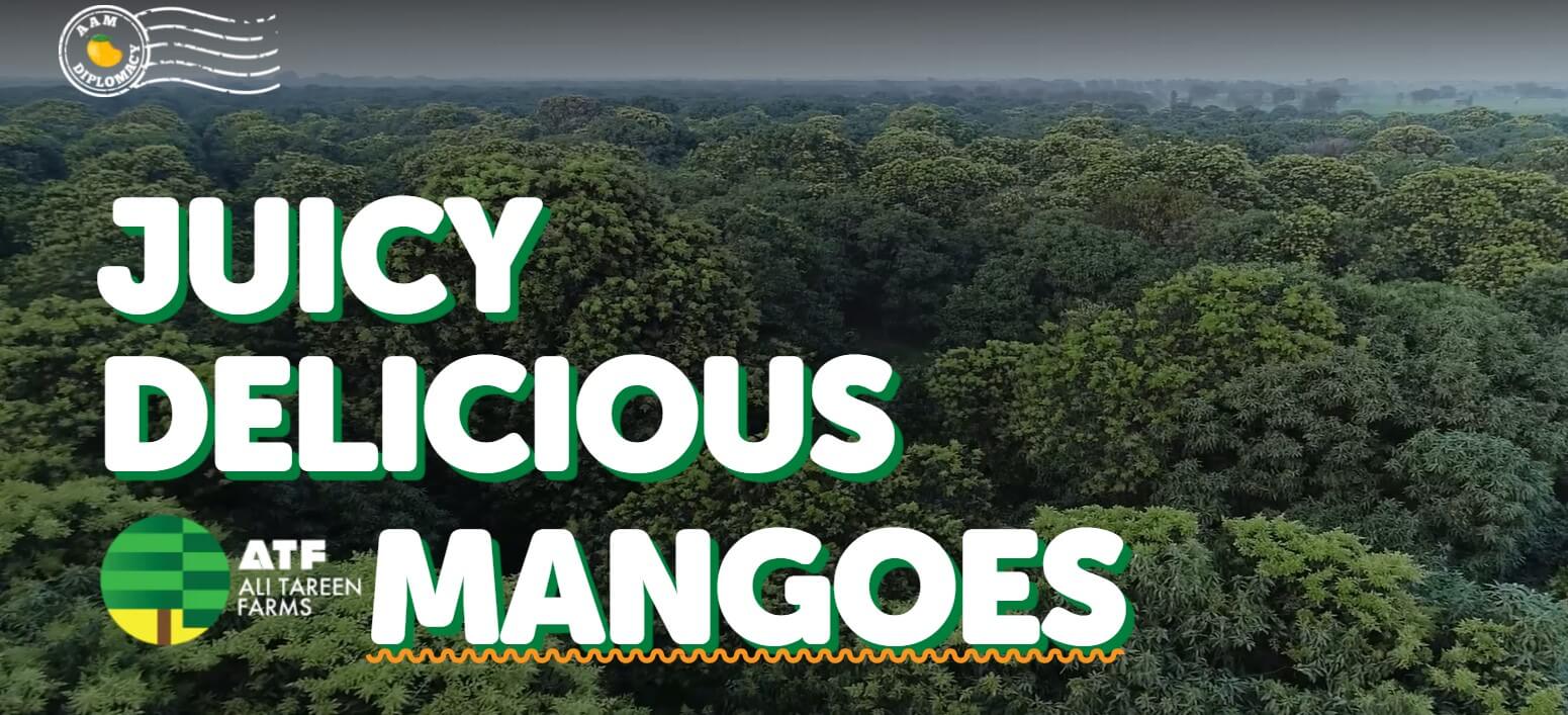 Get Mangos Delivered at your Doorstep From AamDiplomacy