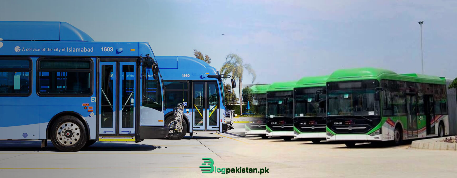 CDA to Add 20 More Buses to the Blue and Green Line