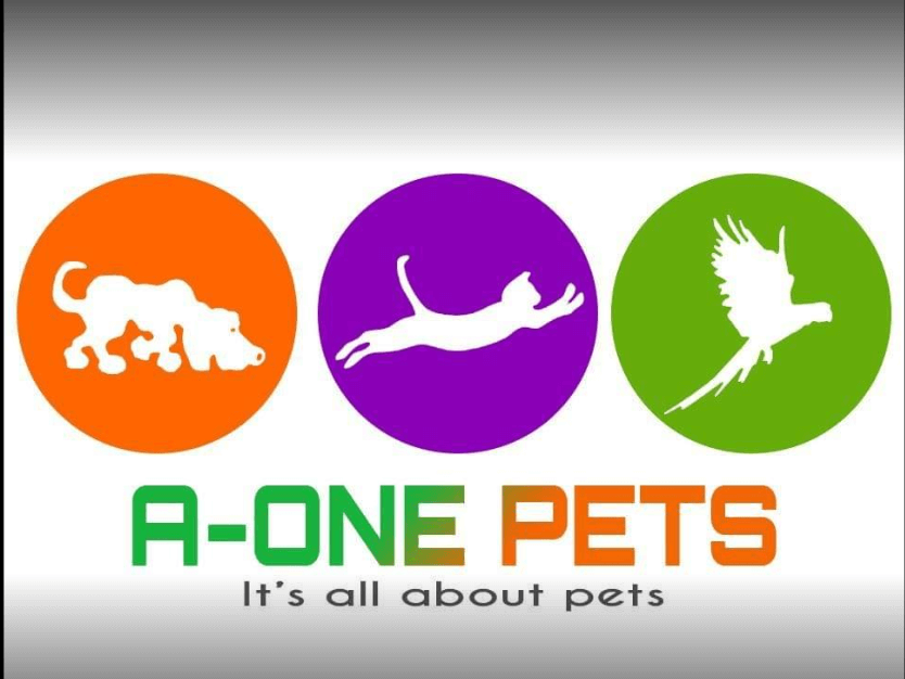 A-One Pets Store