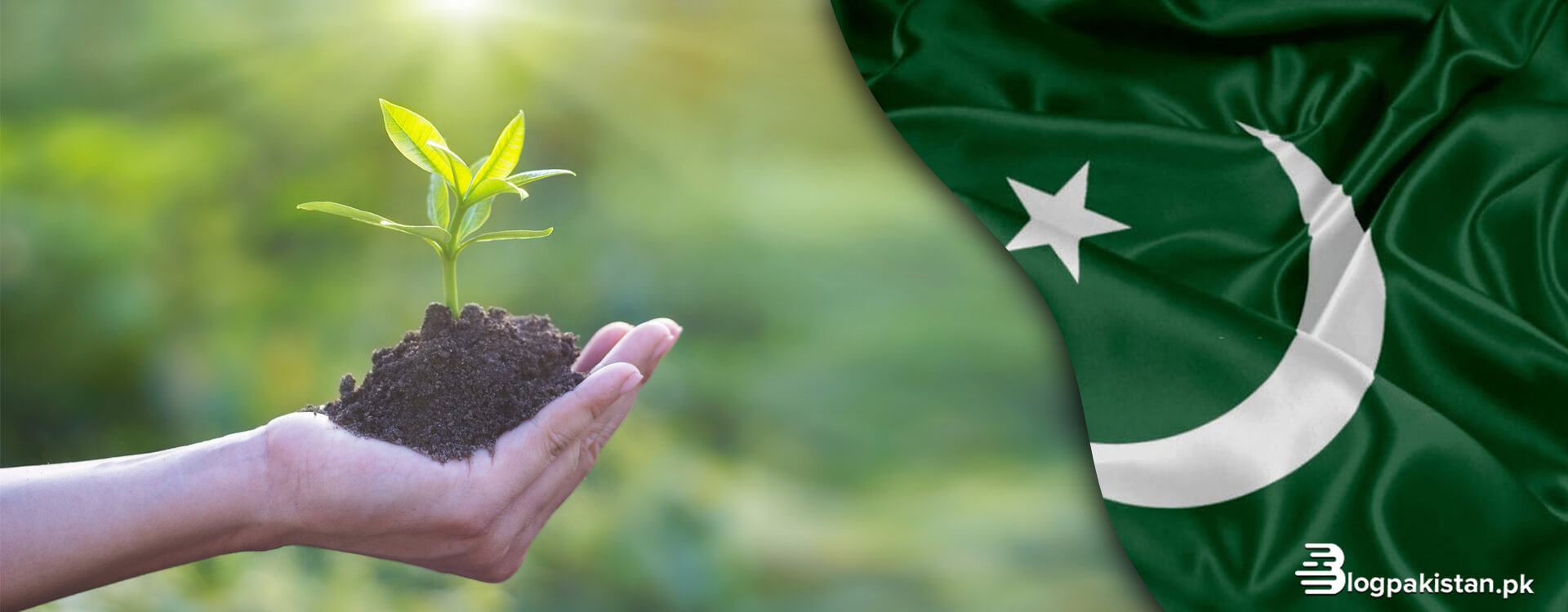 how to make pakistan clean and green