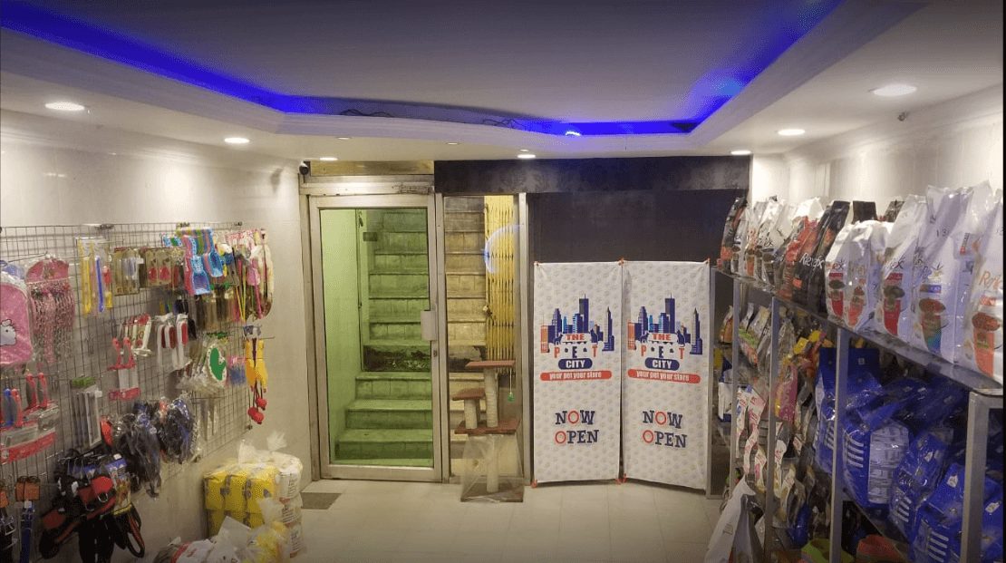 10 Pet Stores in Lahore To Consider for Pet Shopping