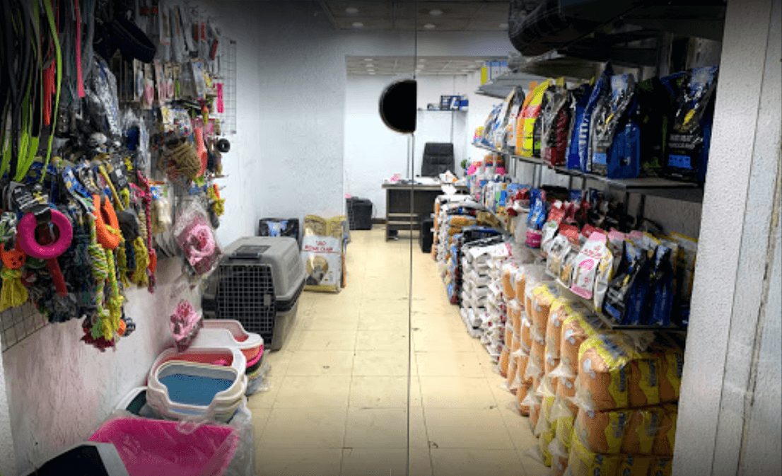 10 Pet Stores in Lahore To Consider for Pet Shopping