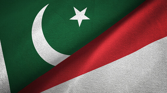 Indonesia Willing to Deepen Cooperation With Pakistan