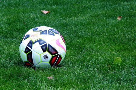 pakistans-football-exports-have-witnessed-6222-pc-increase