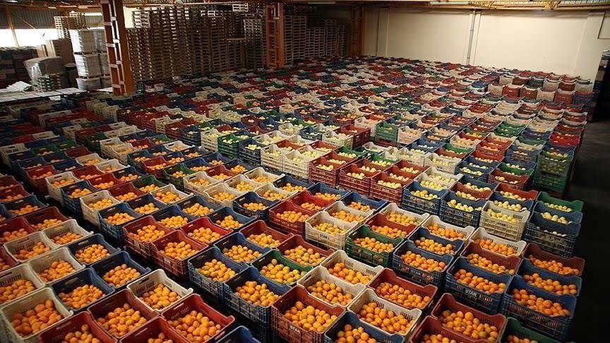 Pakistan’s Export of Fruits and vegetables to China has Crossed $54 Million