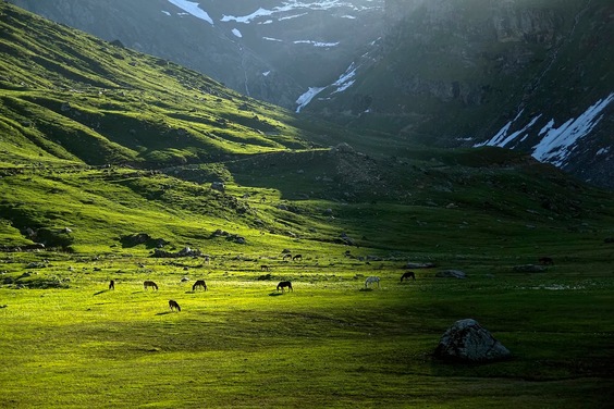 Shounter Valley