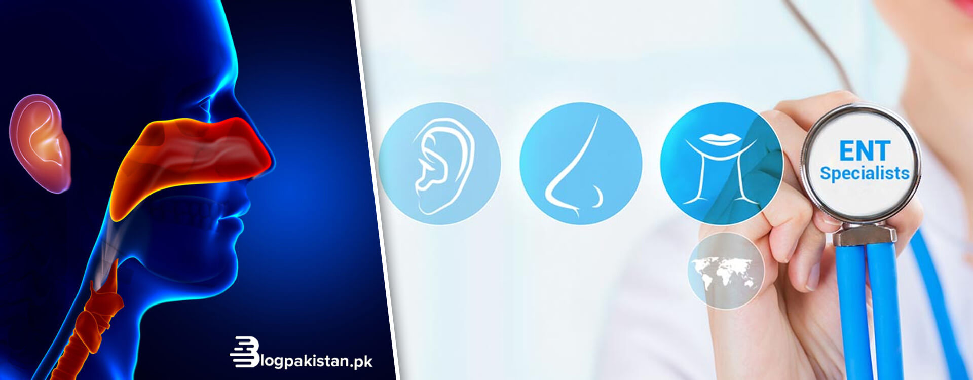 7 Renowned ENT Specialists in Karachi – PMDC Licensed Professionals