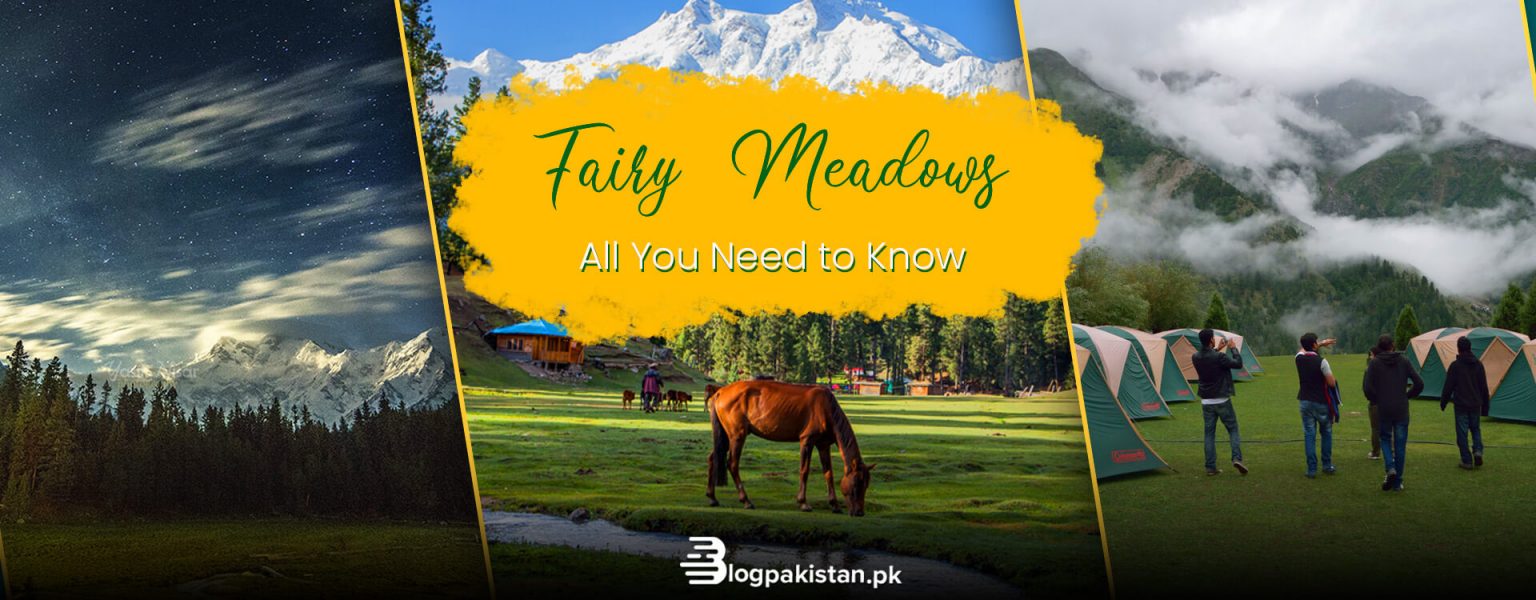 Fairy Meadows Travel Guide 2023 Routes, Nearby Places & More