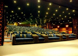 all cinemas in FSD