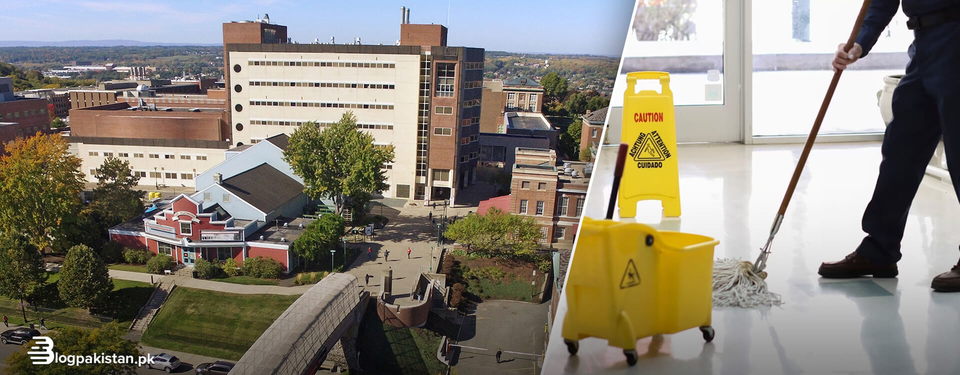 Research Worth 1 Million Lost After Cleaner “Turns off Freezer”