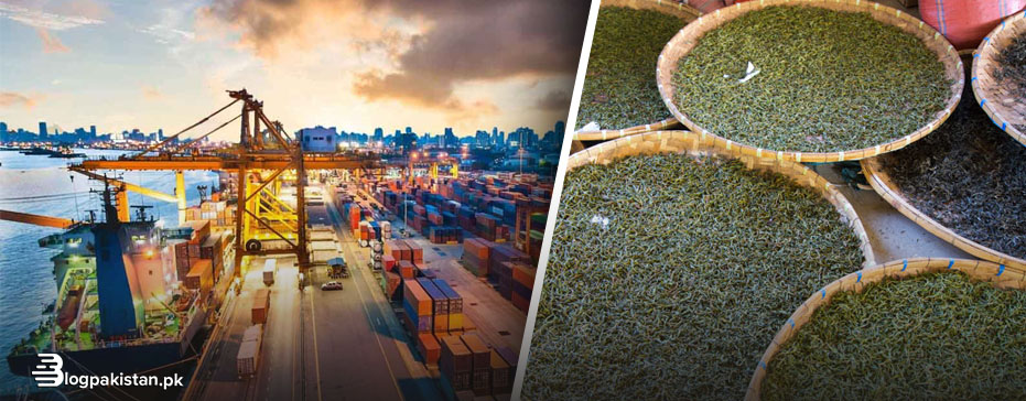 Pakistan Imported Tea Worth Rs 31.64 Billion in 2 Months of FY 2023-24