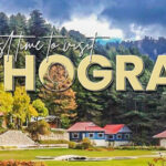 Discover the Best Time to Visit Shogran