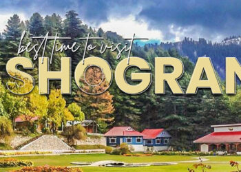 Discover the Best Time to Visit Shogran