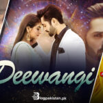 Pakistani Dramas Going International: 3 Of Your Favorite Dramas To Air On Turkish Television.